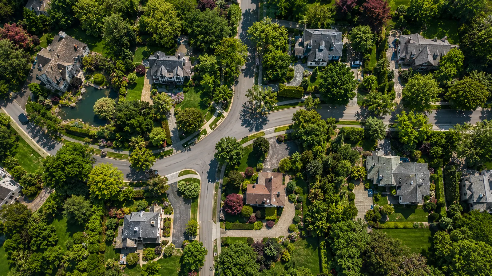 Aerial view of tree-lined residential streets in the NYC and Westchester corridor
